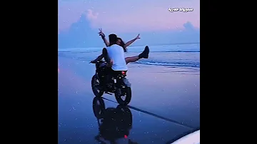 حالات واتس اب انتي بسكوتايه مقرمشه حالات واتس حسن شاكوش مهرجانات مصرية ستوري انستا تسجيل دخول 