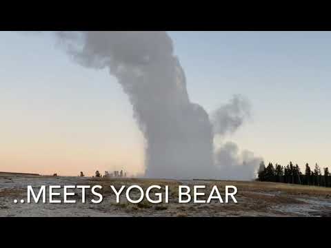 Yogi bear at Yellowstone park