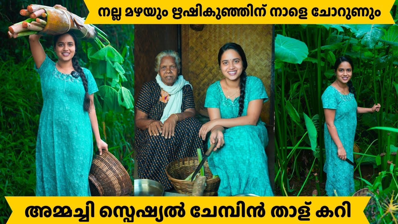 അമ്മച്ചി സ്പെഷ്യൽ ചേമ്പിൻ താള് കറി.. നല്ല മഴയും ഋഷി കുഞ്ഞിന് ചോറൂണ്...
