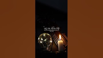 | سورة المؤمنون | القارئ ياسر الدوسري #quran #قرآن