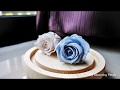 [Vlog] 花艺设计 - Glass Globe Flower Arrangement