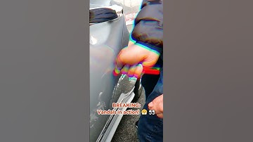 Caught Red-Handed: Vandals Can