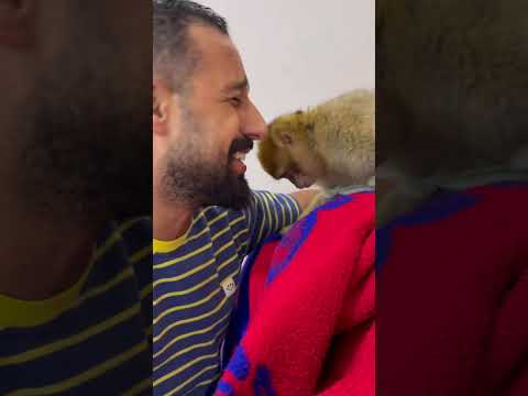 شوف بداره بترقص ازاي