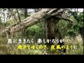 「さすらい」カラオケ・オリジナル歌手・小林 旭