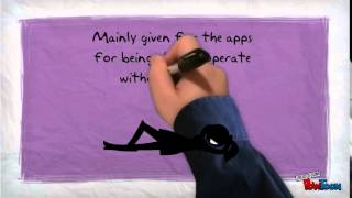 HCI Project (Phase 2, Individual Video)