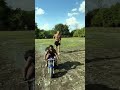 go go small rider #funny