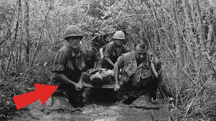 Vietnam’s Most DANGEROUS Wildlife for U S  Soldiers