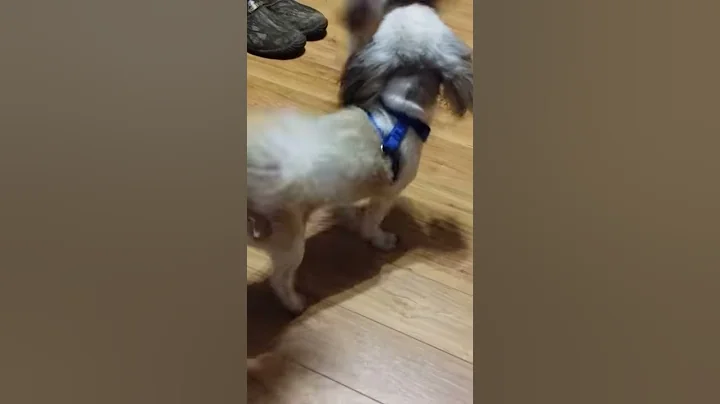 Manny  To cold to pee