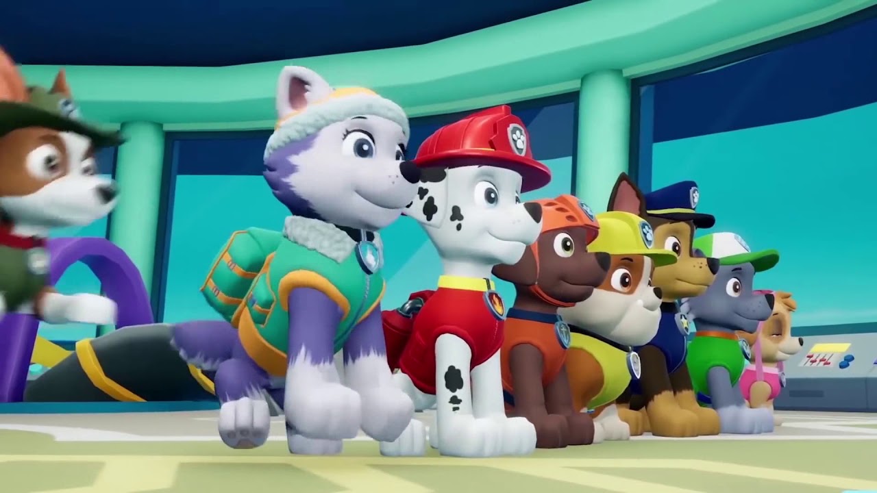 switch paw patrol on a roll