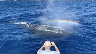 Maui RainBlow from humpback whale
Another stunning rainblow! Passengers on this PacWhale Eco-Adventures Whalewatch were blessed to have a close up viewing of this natural phenomenon, brought to us by the majestic humpback whales. Maui RainBlow from humpback whale