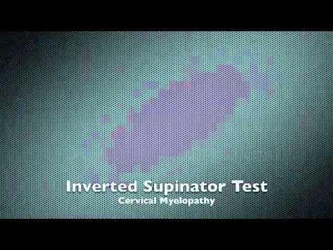 YouTube   Inverted Supinator Test