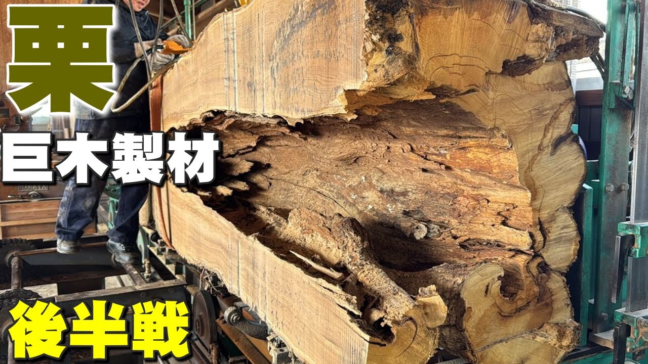 一枚板の製材】大きな穴があいた栗の巨木を製材したら、スゴイ木目が