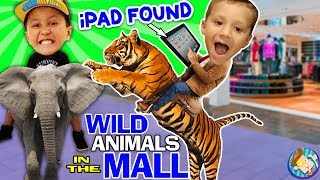 TIGER RIDES in a MALL! + Found Lost iPad $$$$ FUNnel V Vlog