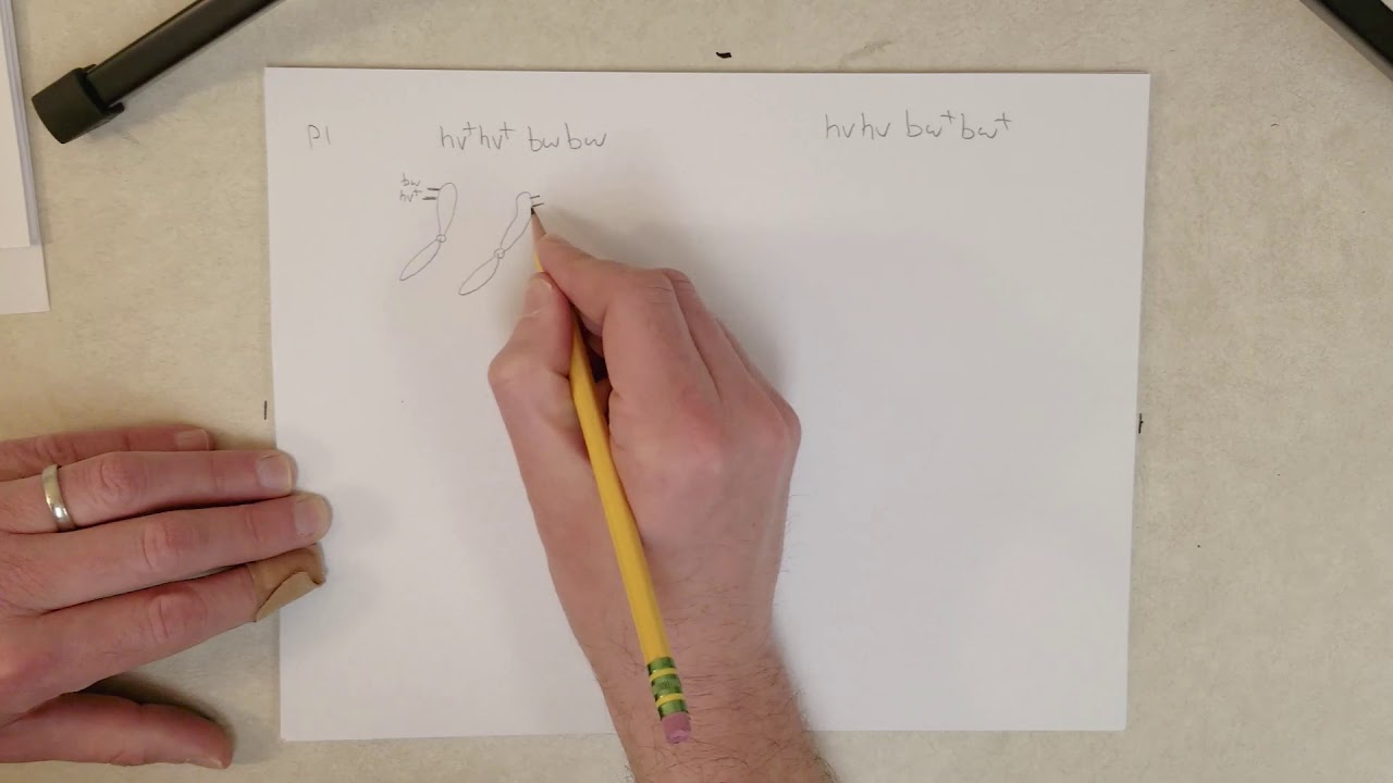 Genetics: L6-C, Linkage and Non-Mendelian Ratios (Recommend 1.5x Speed)