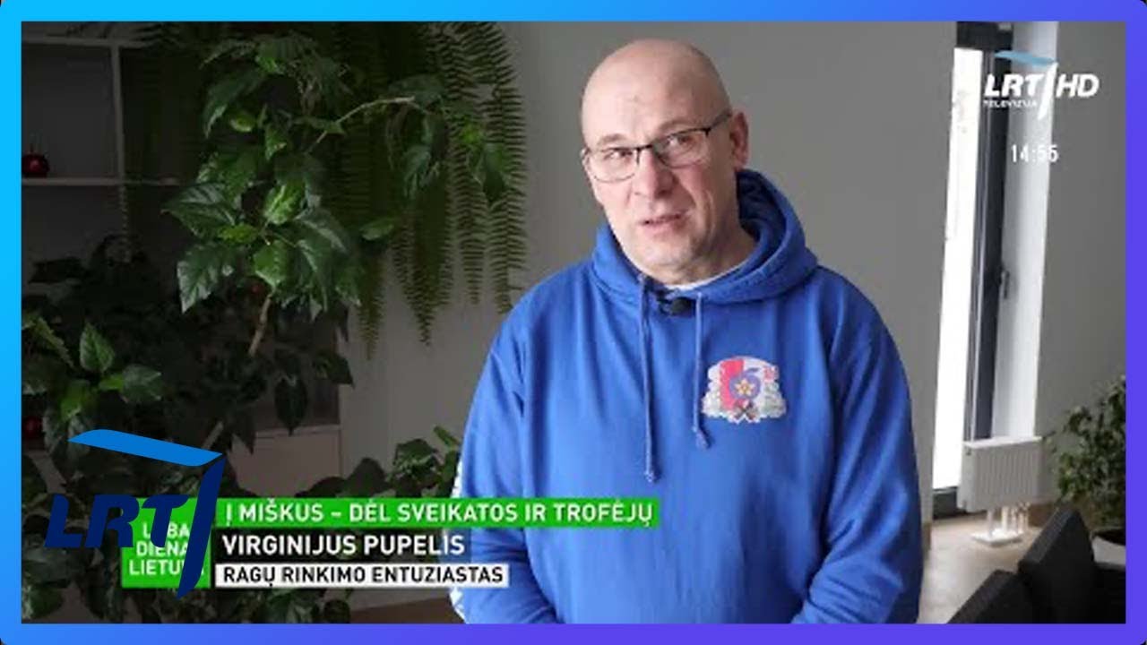 Neįprasta gėrybė miškuose – elnio ar briedžio ragai: rinkimo entuziastas pasakoja, kad pomėgis padėj