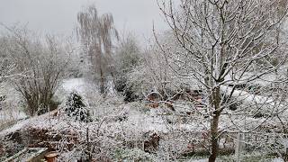 Sowas Nennt Sich Also Frühling...