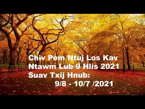 Video: Lwm Yam Teeb Meem Los Ntawm Kev Ntsuas Hauv Lub Cev Tsawg Hauv Cov Tsiaj Tsiaj