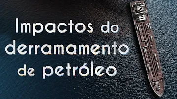 Como podemos evitar o derramamento de petróleo?