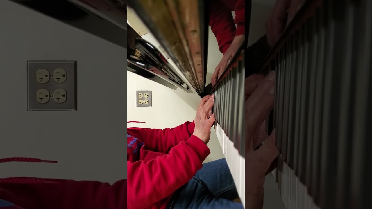 Samick,  Hallet Davis,  and Young Chang piano options $1500-2000 at Adamspiano.com!