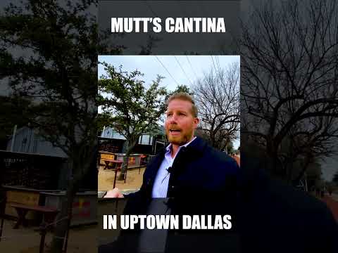 Mutts Cantina in Uptown Dallas Texas | Living in Dallas Texas #shorts