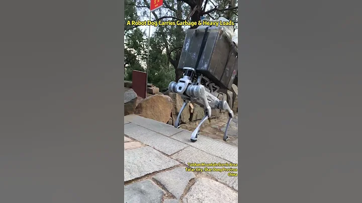 A Robot Dog Carries Garbage & Heavy Loads