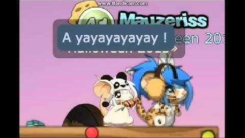 Transformice music video "Roll With The Wind"