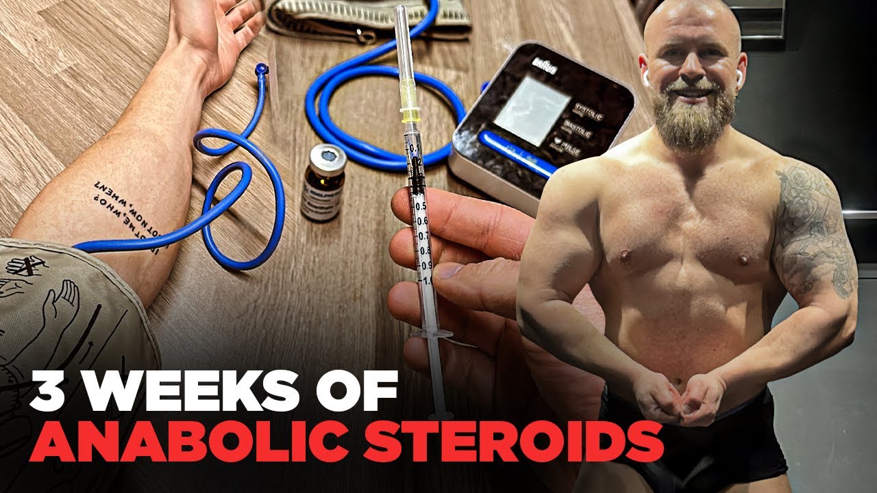 Macros Training Cardio Physique 3 Weeks Using Anabolic Steroids Macros Training Cardio Physique 3 Weeks Using Anabolic Steroids