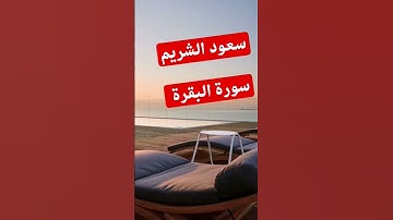 سورة البقره سعود الشريم #سورة_البقرة #سعود_الشريم #مصر #اكسبلور #المغرب #دويتو #تيك_توك #الجزاير
