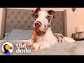 Dog Is So Messy And His Family Loves It | The Dodo