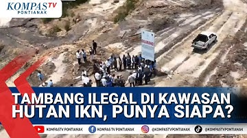 Temuan Tambang Ilegal di kawasan Hutan  IKN tembus 4000 Hektar