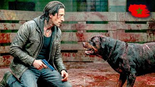 ملخص فيلم Bullet Head بالدارجة هرب من البوليس و تحبس مع أخطر و أشرس كلب مرعب