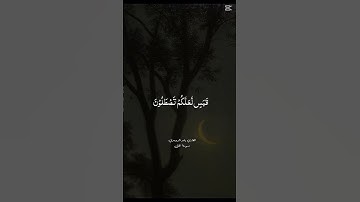 #سورة_النمل #یاسر_الدوسري 🎀🧡