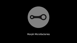 Morph Startup Journey - Episode 0: Strong and Lightweight