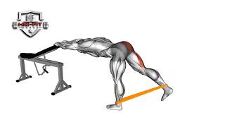 Bench Supported Donkey Kick (Glute Kickback)