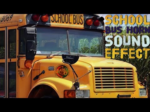 School Bus Horn Sound Effect School Bus Honking Horn Sound Sample