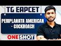 Periplanata American Complete in 1 One Shot | Zoology TG EAPCET in Telugu | All Topics Covered