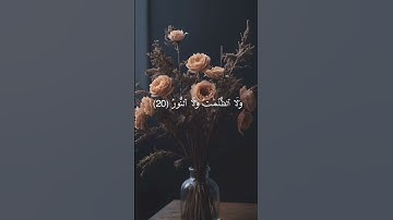 سورة فاطر آية 18 و 19 و20 #اكسبلور #القران #تيك_توك #القاريء #راحة_نفسية #الصلاه #voiceeffects #خطبه