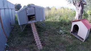 chicken coop automatic water door