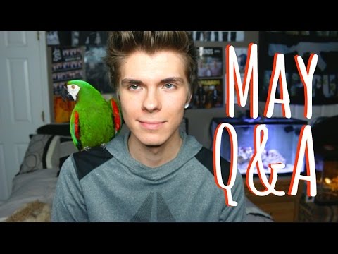 answers lyrics May Q&A w/ My Severe Macaw!