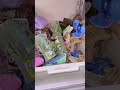 So sad that you only got 4 bags😭😭😭#usa #packingorders #asmr #mysteryscoop #sanrio #bracelet #diy