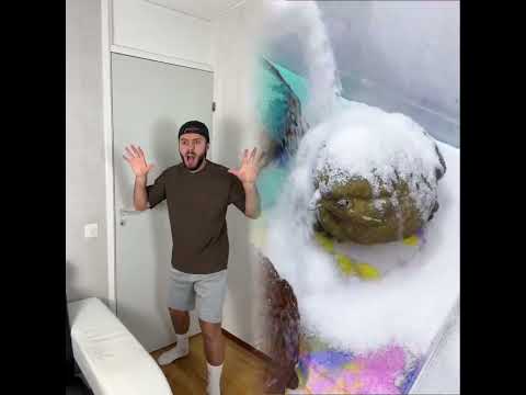 الحجية طلعت فسادة 99 كوميدي سوري كوميدي عراقي جيش الششمه