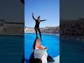 JESSICA RADCLIFFE GETS SWALLOWED BY HER ORCA 🐋 #shorts