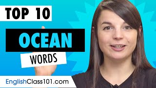Learn 10 Oceanrelated Words in English
