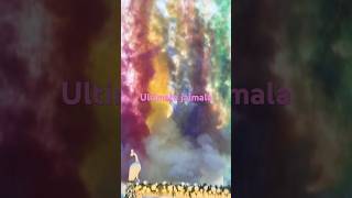 Noida jaimala#weddingphotography#uniqueshorts#ultimateexperience