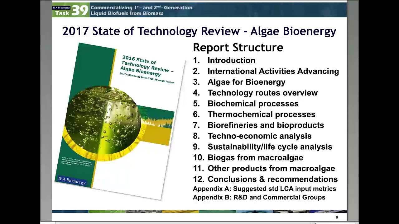 Algae Bioenergy State of Technology Review