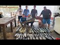 Pescando peces gigantes “AVENTURA EN ALTA MAR” Mucha Pesca y naturaleza parte 1