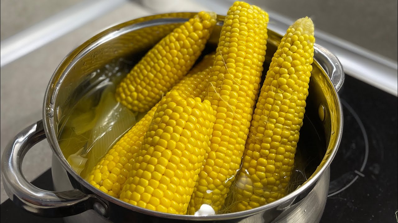 Варить початках в кастрюле. Вареная кукуруза. Вареная кукуруза реклама. Цвет вареной кукурузы. Как варить кукурузу.