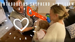 shepherd meets his little brother | introducing our toddler to our newborn
