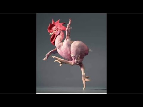 عاجل رضينا بالهم ما رضى بينا درناه عند راسنا وكملوا من عندكم