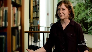 What can trees teach us about climate change?